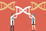 Genetic engineering, GMO and Gene manipulation-GettyImages-1344879684