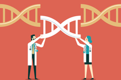 Genetic engineering, GMO and Gene manipulation-GettyImages-1344879684