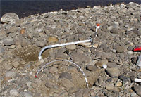 A small section of exposed polyethylene tubing is easily camoflauged with available rocks or vegetation.