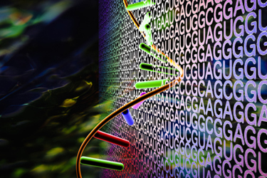 DNA Helix-GettyImages-1337415385 DNA Helix-GettyImages-1337415385