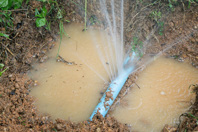Integrating Multiple Strategies To Optimize Water Use And Minimize Losses GettyImages-926506900