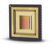 MWIR And SWIR Focal Plane Arrays flir-swir-focal-plane-array