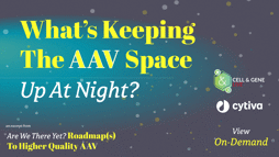 23_11_CGL_AAV_Webinar_Seg01 23_11_CGL_AAV_Webinar_Seg01
