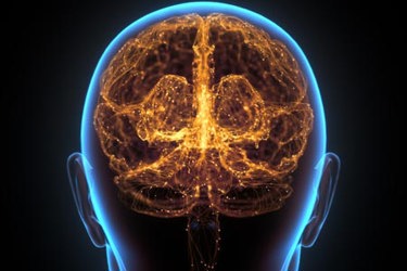 Human Brain-GettyImages-1281534756 Human Brain-GettyImages-1281534756