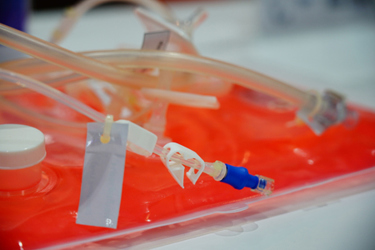 Wave Bioreactor-GettyImages-1330740791 Wave Bioreactor-GettyImages-1330740791