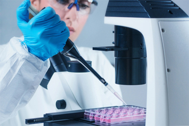 GettyImages-1159433153-microscope-scientist-cell-culture GettyImages-1159433153-microscope-scientist-cell-culture