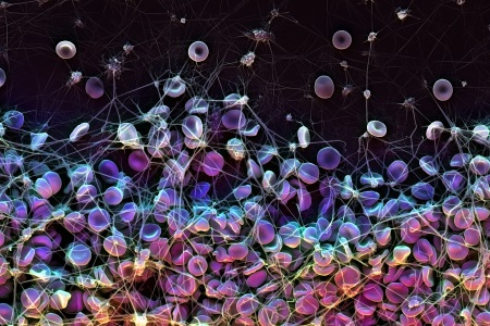 "devising a way to prevent blood clotting without using