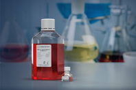 Adherent HEK Cell SF Media: HEKima™ Nucleus - HEKima