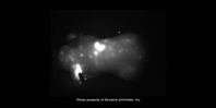 Imaging Tissue In SWIR 16-min-After-Injection-of-Nanotubes
