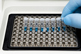 DNA amplification, Reverse transcription PCR, RNA, scientist-GettyImages-1163127104
