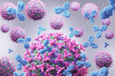 Antibody attack cancer cell-GettyImages-2212827792