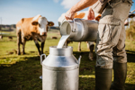 Farmer pouring raw milk GettyImages-1297005217
