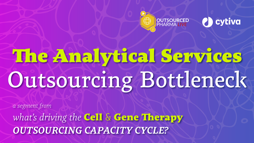 22_10_OPL_CGOutsourcing_Webinar_1920x1080_Seg05