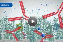 Tentacle Ion Exchange Chromatography Animation: How It Works