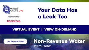 Your Data Has a Leak Too
