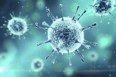 virus cell bio virus cell bio