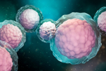 Stem Cell Brain