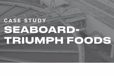 BlueInGreen+-+Case+Study+-+Seaboard+Triumph+Foods-09292020-compressed-1