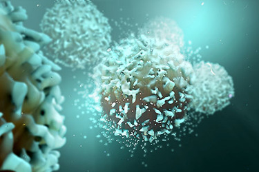 T-cells GettyImages-956478348