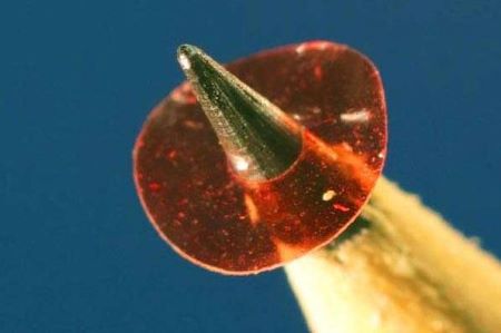 5mm Diameter Motor Is Powered Directly With Light