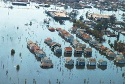 Scientists have found that sediment from floodwaters after hurricanes contain high levels of microbial contamination.

Credit: Liz Roll