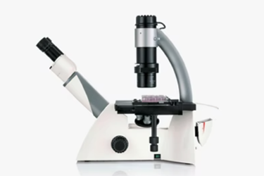 Leica DMI1 microscope