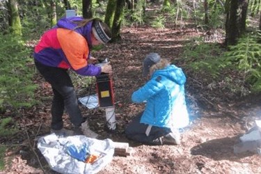 NSFgroundwater