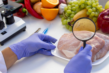 GettyImages-2238058819-inspecting-meat-chicken-fruits-gloved-hands