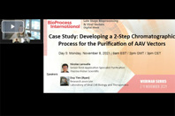 Developing A 2-Step Chromatographic Process