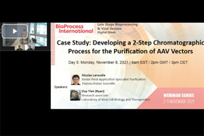 Developing A 2-Step Chromatographic Process