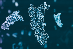 GettyImages-2178829362-glp-1-protein-3d-render GettyImages-2178829362-glp-1-protein-3d-render