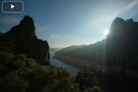 Sustainability video