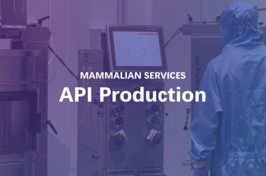 Screenshot 2026-04-06 075128