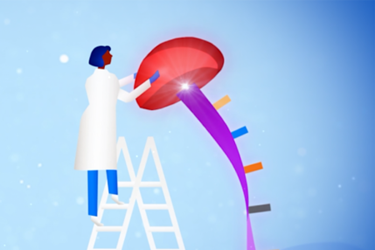 Roche CustomBiotech - capping Roche CustomBiotech - capping