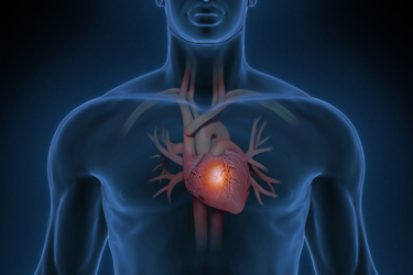 Man with healthy heart-GettyImages-1424369255 Man with healthy heart-GettyImages-1424369255