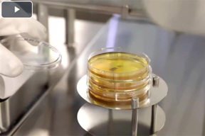 Rapid Micro Methods In QC Micro Testing