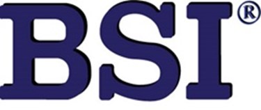 gI_143716_BSI_Corp gI_143716_BSI_Corp