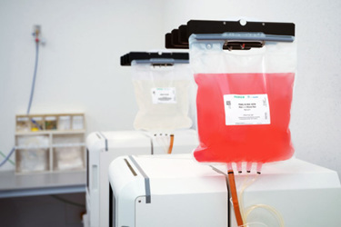 Solutions To Automate Large-Scale MSC And T Cell Expansion Solutions To Automate Large-Scale MSC And T Cell Expansion