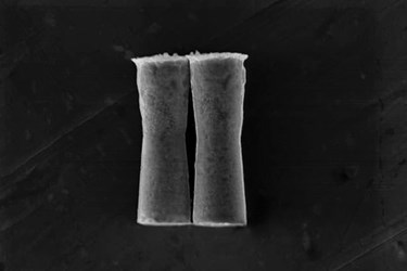 nanomotor nanomotor