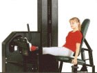 Seated Calf Seated Calf