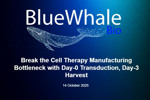 Break The Cell Therapy Manufacturing Bottleneck With Day-0 Transduction, Day-3 Harvest BlueWhaleBio