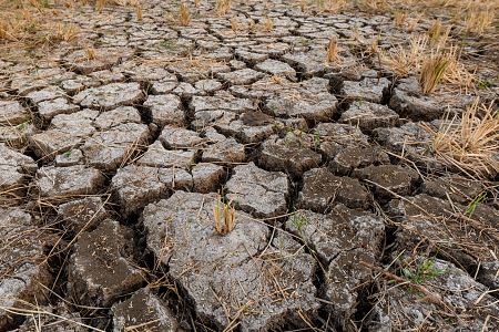 What Is A Flash Drought An Earth Scientist Explains