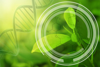 GettyImages-1389776449-chemical-equation-green-sustainability