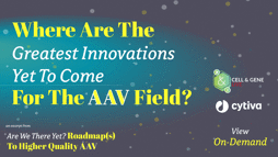 23_11_CGL_AAV_Webinar_Seg08 23_11_CGL_AAV_Webinar_Seg08