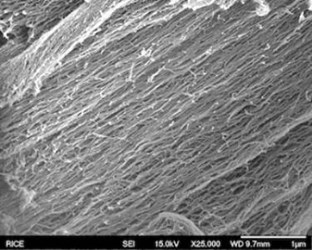 mussel-fibers mussel-fibers