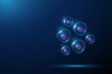 GettyImages-2228786791 MSC, stem cells GettyImages-2228786791 MSC, stem cells