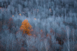 Standing Out-GettyImages-2188952167