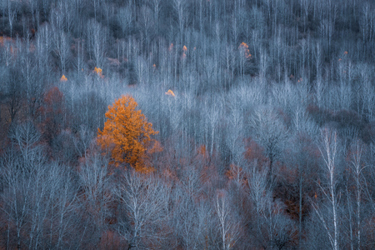 Standing Out-GettyImages-2188952167 Standing Out-GettyImages-2188952167