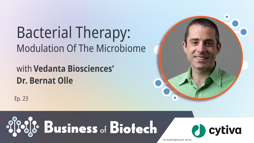 24_01_BoB_1280x720_Ep23