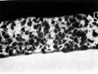 CDC for Composite Diamond Coating CDC for Composite Diamond Coating